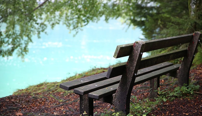 Covid-19 : Le Sénat souhaite mettre la transition écologique au cœur de la relance