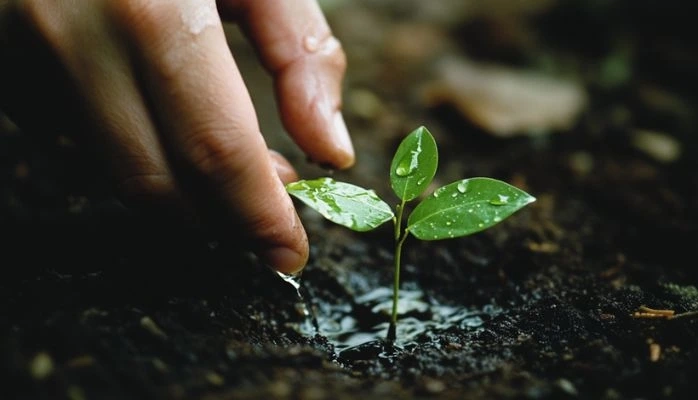 Le fonds friches et les mesures de recyclage du foncier 