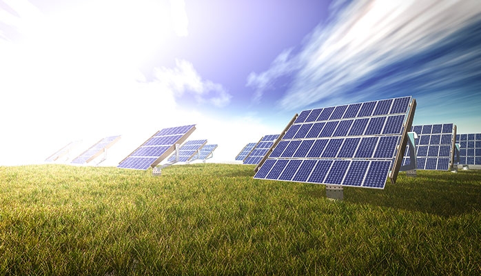 Les panneaux photovoltaïques et les toits végétalisés bientôt obligatoires